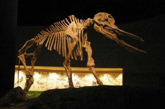 King Abdulaziz Historical Center